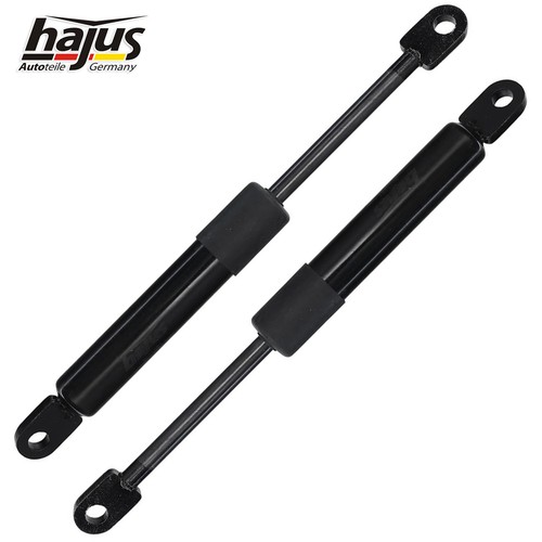 Hajus dämpfer gasfeder - 2x,